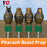 Pharaoh beast prop room escape game puzzle YOPOOD