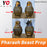 Pharaoh beast prop room escape game puzzle YOPOOD